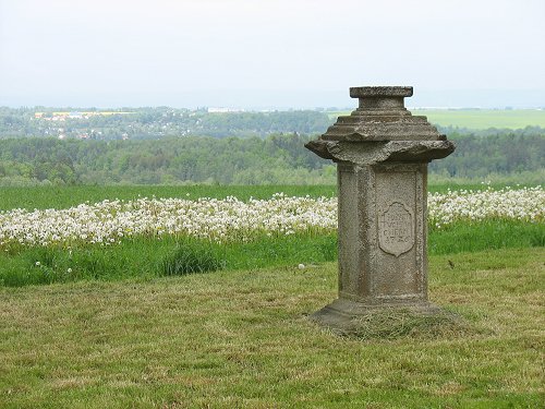 Goethe in Elbogen/Loket