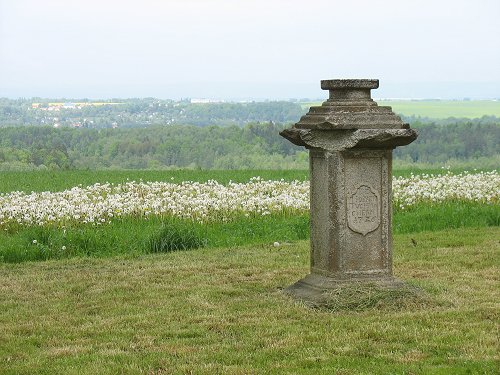 Goethe in Elbogen/Loket