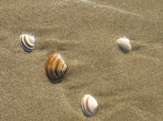 Egmond aan Zee