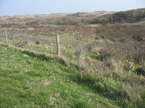 Egmond aan Zee