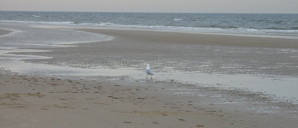 Egmond aan Zee