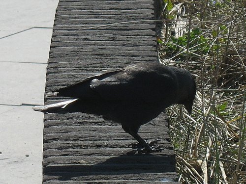 Egmond aan Zee