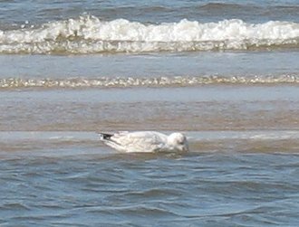 Egmond aan Zee