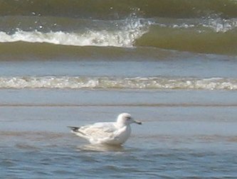 Egmond aan Zee