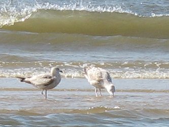 Egmond aan Zee