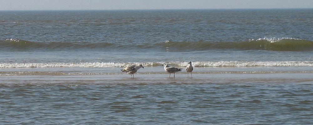 Egmond aan Zee