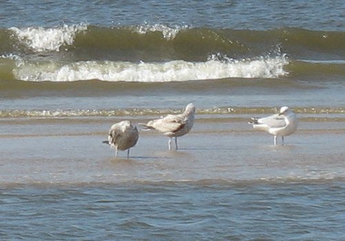 Egmond aan Zee