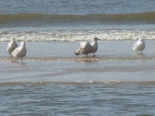 Egmond aan Zee