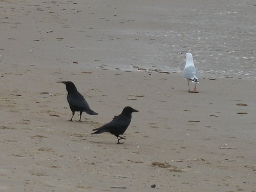 Egmond aan Zee