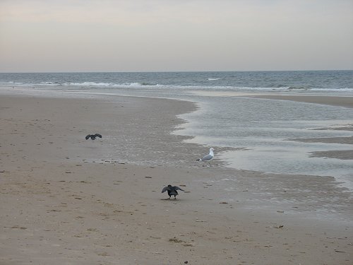 Egmond aan Zee