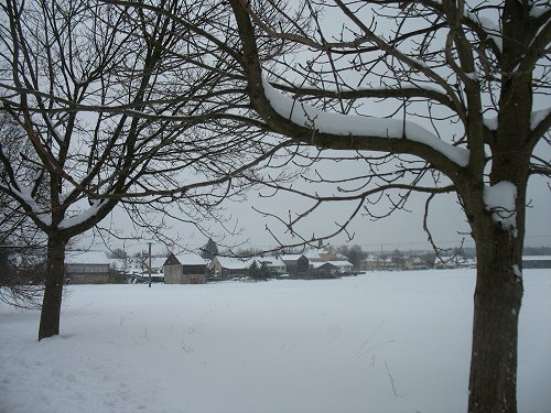 Winter 2010