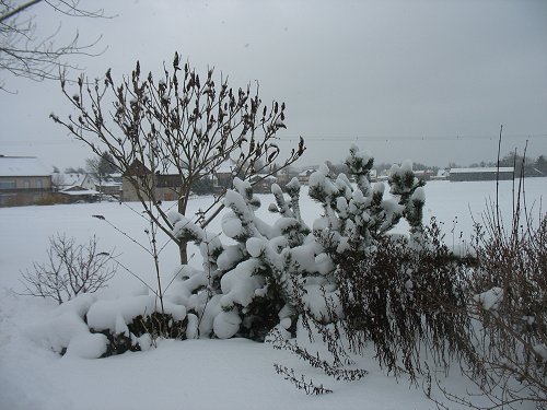 Winter 2010