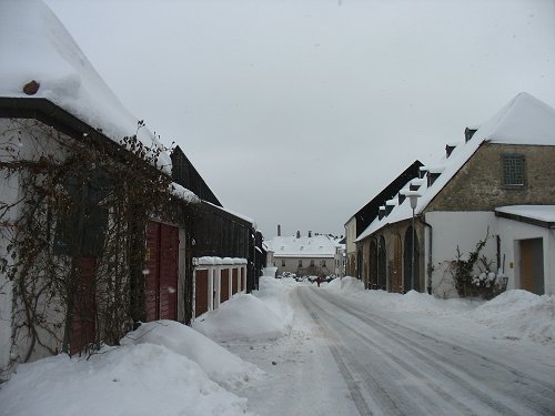 Winter 2010