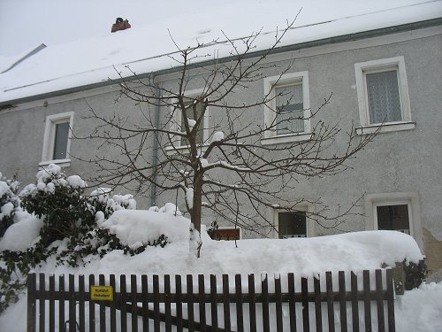 Winter 2010