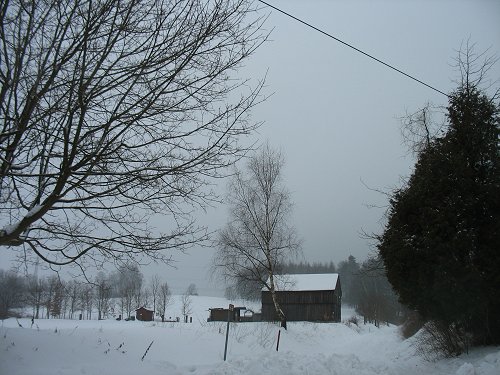 Winter 2010