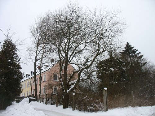 Winter 2010