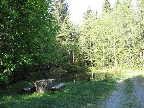 Weiher = alte Egerquelle?