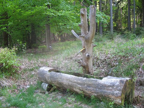 Brunnen = alte Egerquelle?