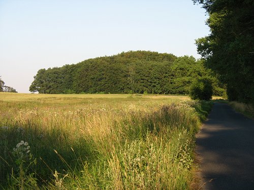 Kammerbühl/Komorni Hurka