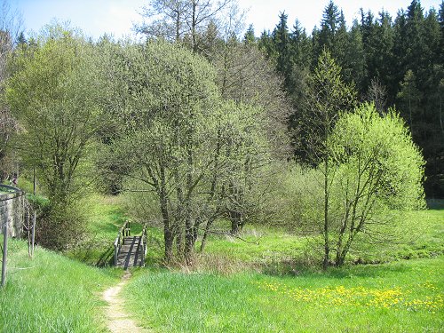 10 Jahre FGV-Frauengruppe Marktleuthen