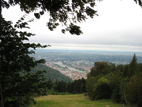 Blick auf Heidelberg und den Neckar