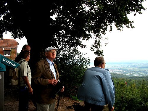 Blick vom Königstuhl