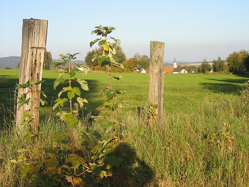 ehemaliger Weißenstädter Bockel