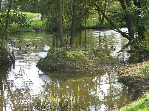 Schwarzenbach an der Saale