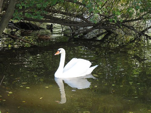 Schwarzenbach an der Saale