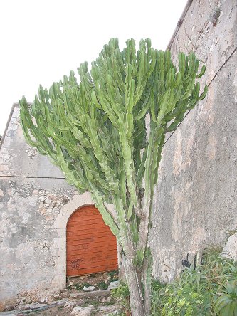 Villefranche-sur-mer