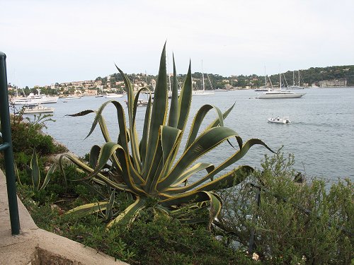 Villefranche-sur-mer