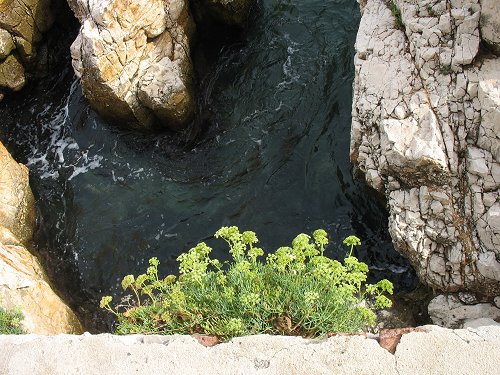 Villefranche-sur-mer