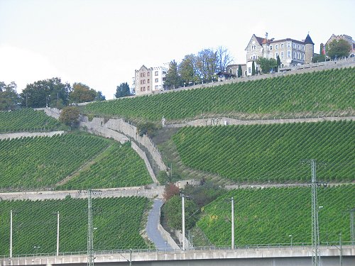 Würzburg