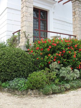 Beaulieu-sur-mer