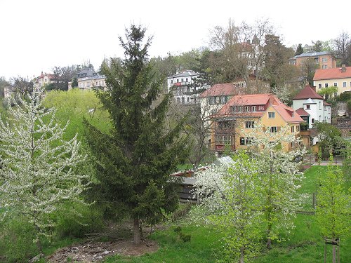 Elbe bei Dresden