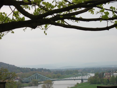 Elbe bei Dresden