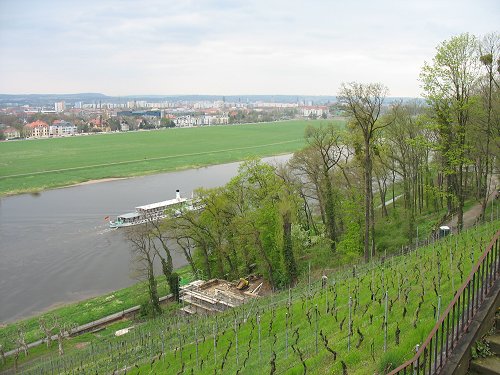 Elbe bei Dresden