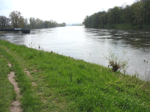 Elbe bei Pillnitz