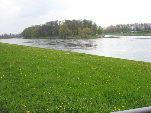 Elbe bei Pillnitz