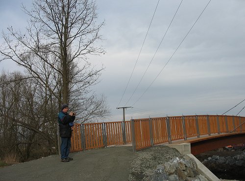 Mainzusammenfluss