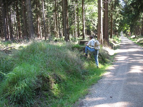 Hohe Mätze