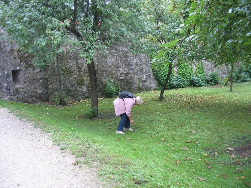 Nabburg an der Naab