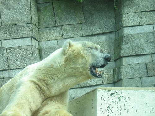 Wuppertaler Zoo