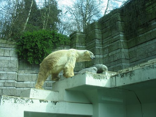 Wuppertaler Zoo