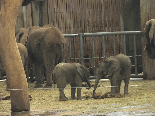 Wuppertaler Zoo