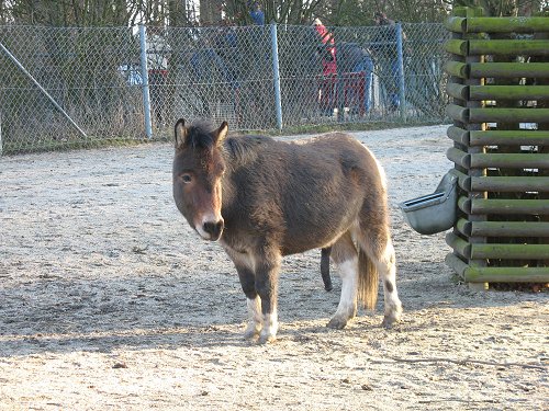 Zoo in Hof/Saale