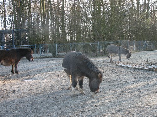 Zoo in Hof/Saale