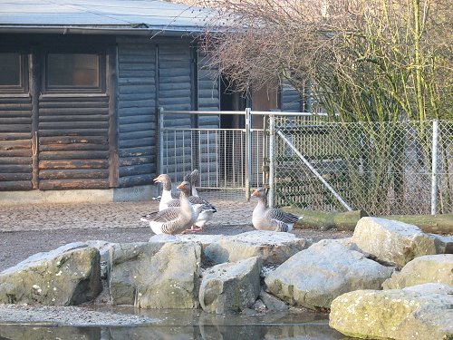 Zoo in Hof/Saale