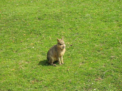 Dresdner Zoo