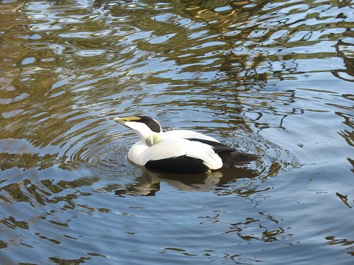 Wuppertaler Zoo